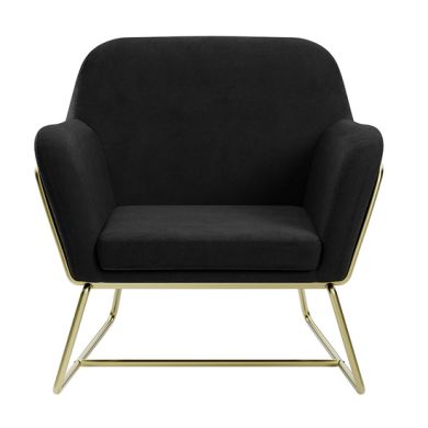 Charles Velvet Armchair In Black With Brushed Gold Legs