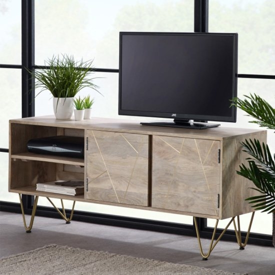 Dreka Wooden 2 Doors And 1 Shelf Tv Stand In Light Gold