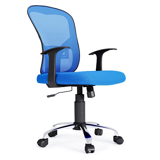 Tampa Mesh Fabric Home And Office Chair In Blue