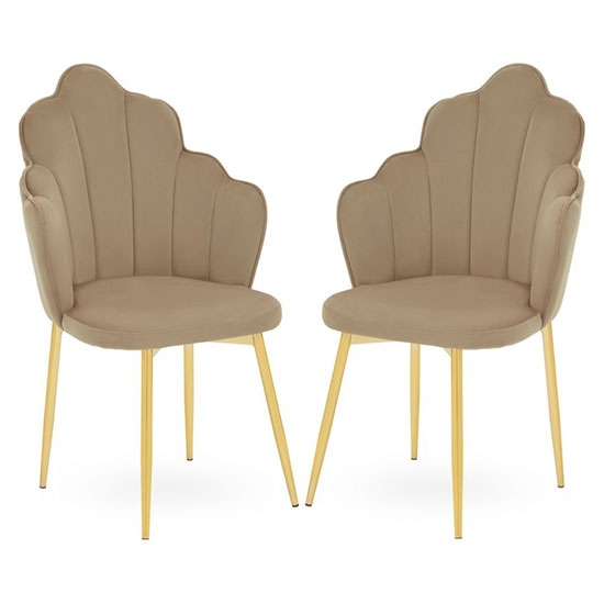 Tian Mink Velvet Dining Chairs With Gold Tapered Legs In Pair