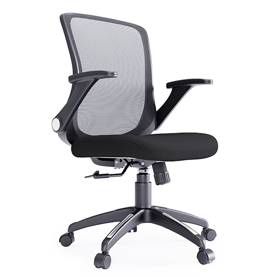 Toronto Mesh Fabric Home And Office Chair In Black