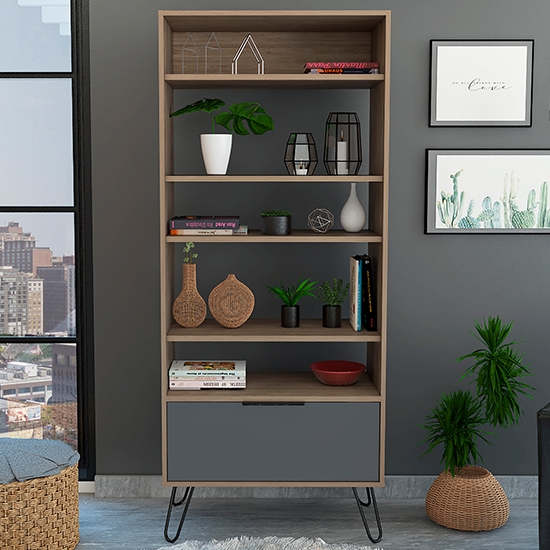 Vegas Wooden Display Bookcase With Door In Bleached Oak Effect